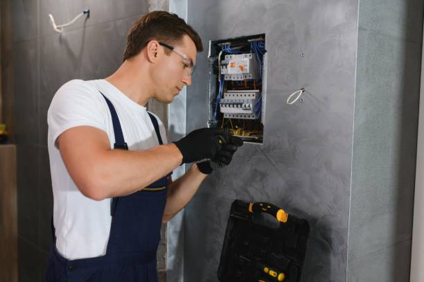 Best Generator Installation Services  in Mound, MN